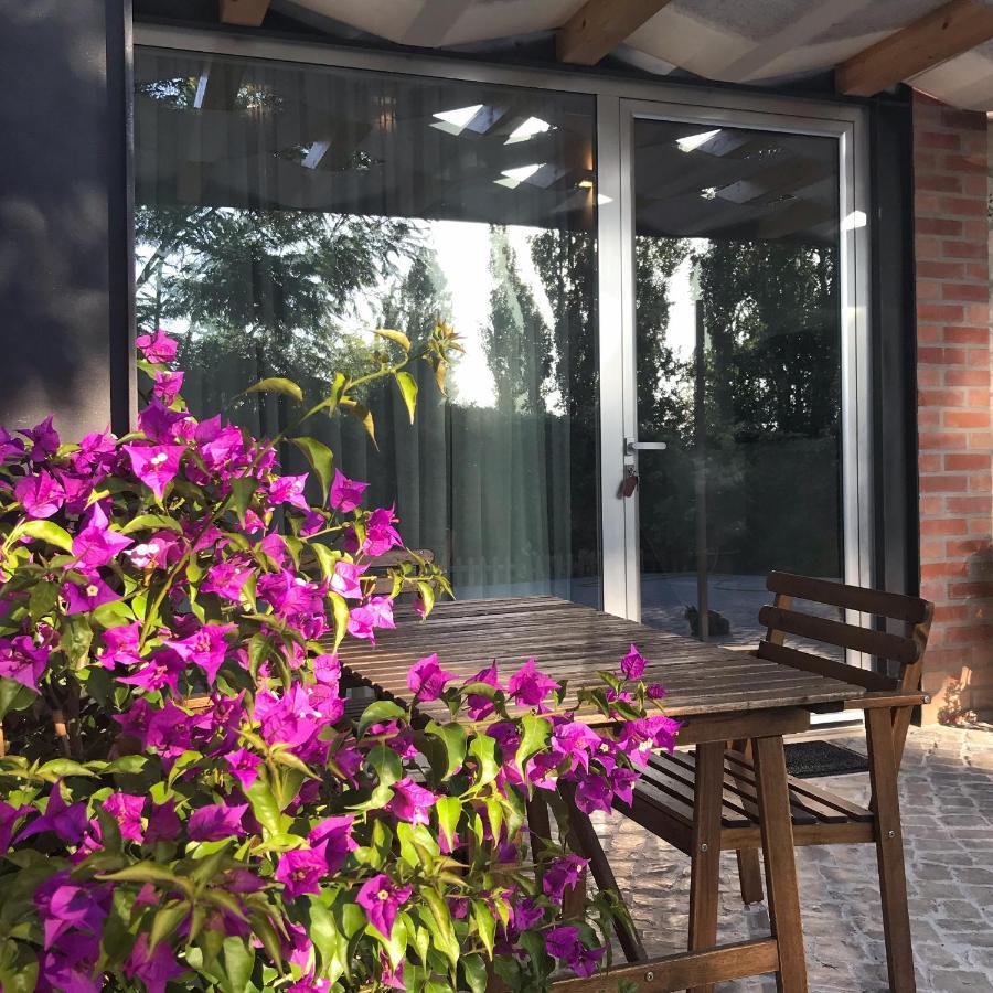 Farm stay Casas Dos Infantes - *