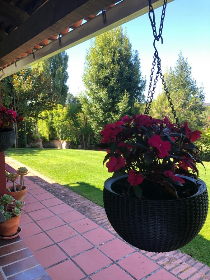 Farm stay Casas Dos Infantes -