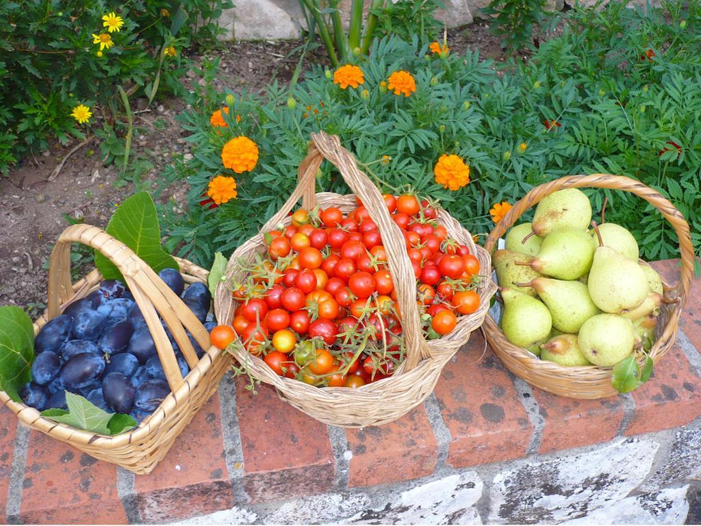 Farm stay Casas Dos Infantes -