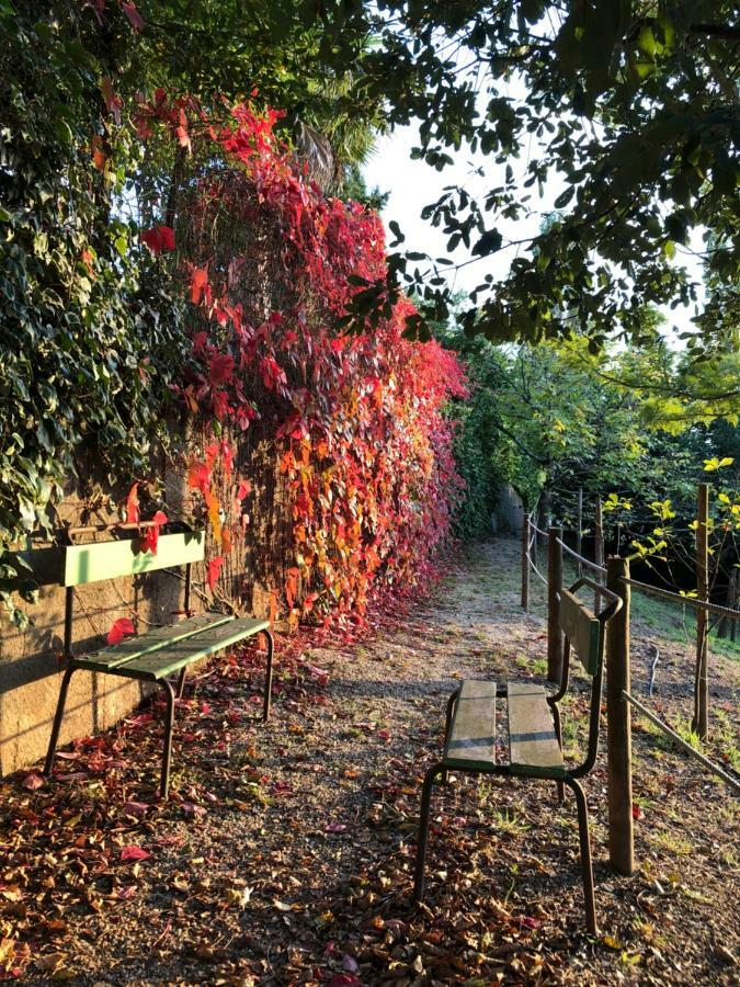 Casas Dos Infantes - Farm stay
