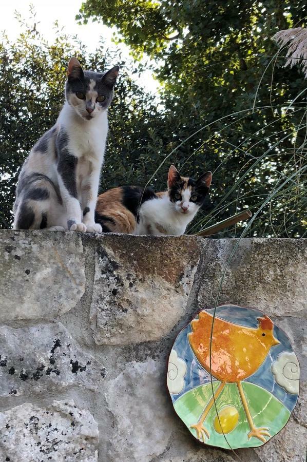 Casas Dos Infantes - * Caldas Da Rainha
